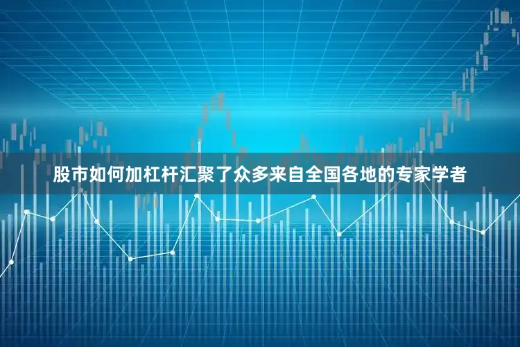股市如何加杠杆汇聚了众多来自全国各地的专家学者