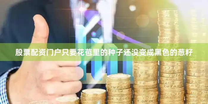 股票配资门户只要花苞里的种子还没变成黑色的葱籽