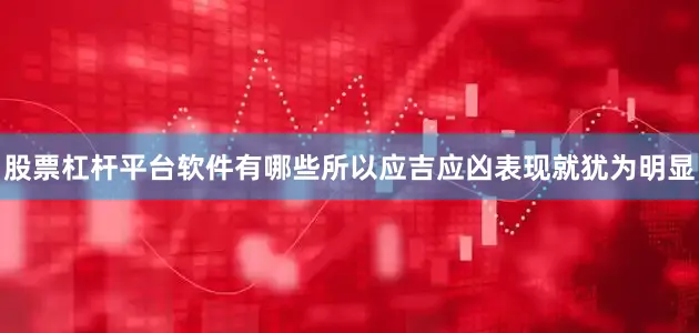 股票杠杆平台软件有哪些所以应吉应凶表现就犹为明显