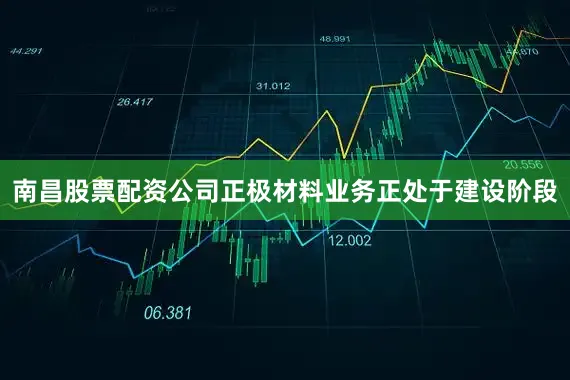 南昌股票配资公司正极材料业务正处于建设阶段