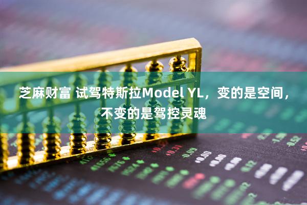 芝麻财富 试驾特斯拉Model YL，变的是空间，不变的是驾控灵魂