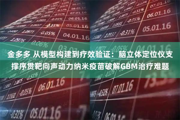 金多多 从模型构建到疗效验证：脑立体定位仪支撑序贯靶向声动力纳米疫苗破解GBM治疗难题